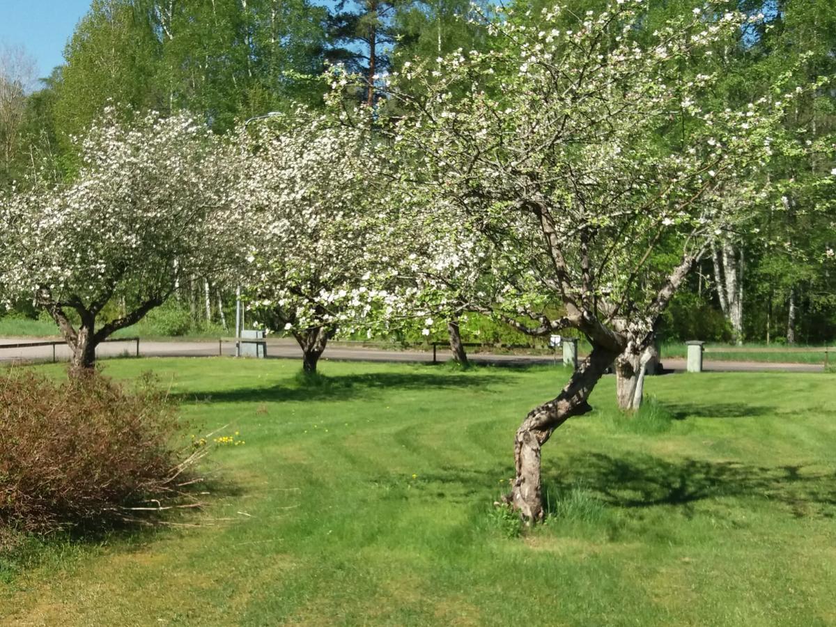 Myb&B & Guesthouse Lonneberga-Silverdalen 外观 照片